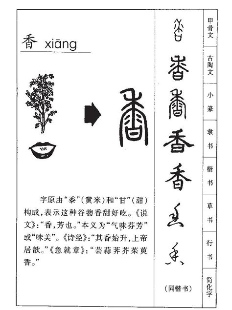 香字五行|香的五行属性是什么